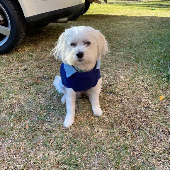 Meet your Posher, Scott - Picture 1 of 1